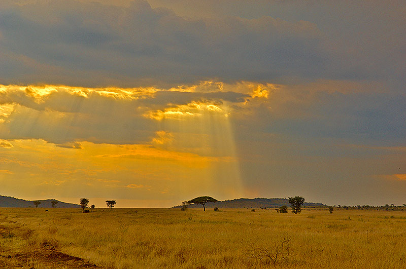 Tanzania 2008