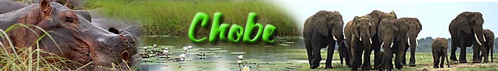 Chobe Photo Gallery